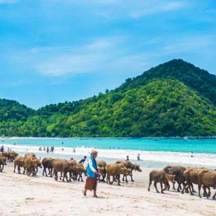 Sakila Homestay Kuta (Lombok) Exterior foto